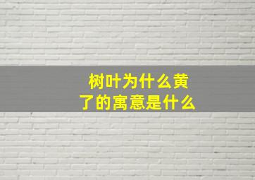 树叶为什么黄了的寓意是什么