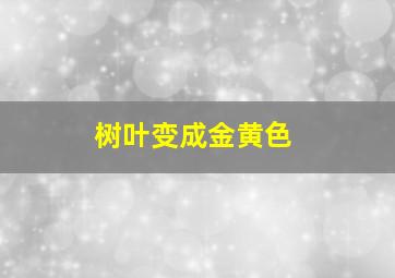 树叶变成金黄色