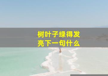 树叶子绿得发亮下一句什么