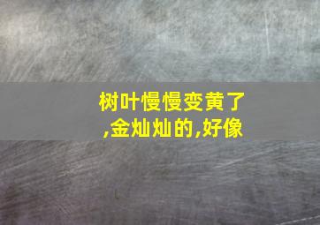 树叶慢慢变黄了,金灿灿的,好像