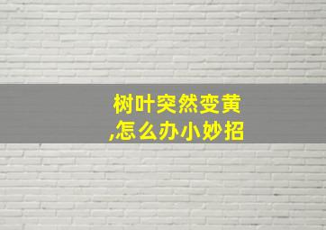 树叶突然变黄,怎么办小妙招