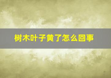 树木叶子黄了怎么回事