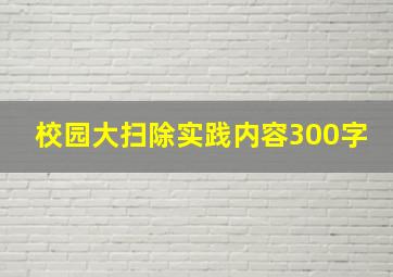 校园大扫除实践内容300字