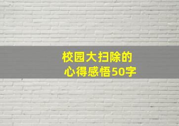 校园大扫除的心得感悟50字