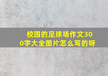 校园的足球场作文300字大全图片怎么写的呀