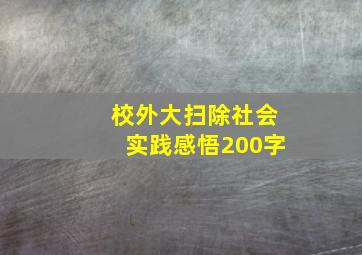 校外大扫除社会实践感悟200字