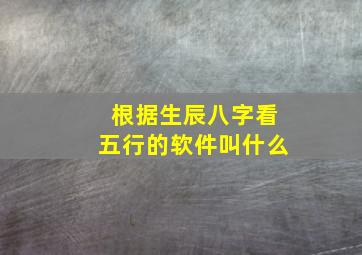 根据生辰八字看五行的软件叫什么