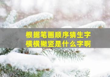 根据笔画顺序猜生字横横撇竖是什么字啊