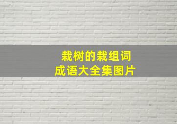 栽树的栽组词成语大全集图片