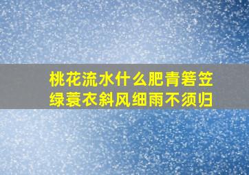 桃花流水什么肥青箬笠绿蓑衣斜风细雨不须归