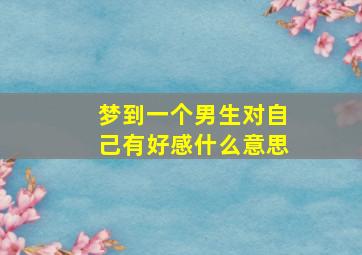 梦到一个男生对自己有好感什么意思