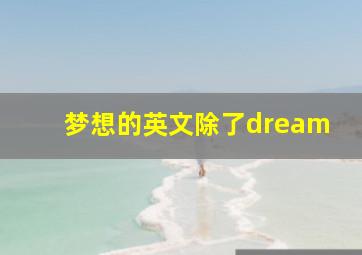 梦想的英文除了dream