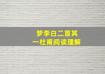 梦李白二首其一杜甫阅读理解