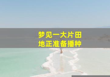 梦见一大片田地正准备播种