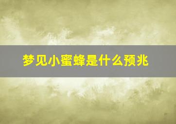 梦见小蜜蜂是什么预兆