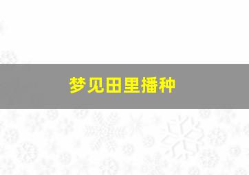 梦见田里播种