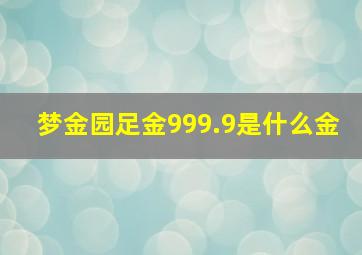 梦金园足金999.9是什么金