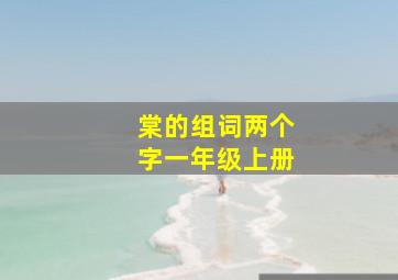 棠的组词两个字一年级上册