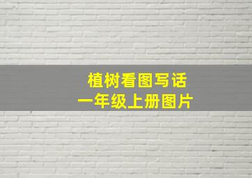 植树看图写话一年级上册图片