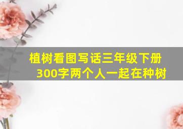 植树看图写话三年级下册300字两个人一起在种树