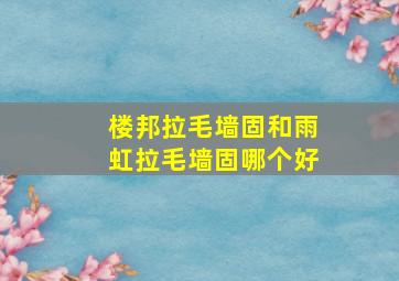 楼邦拉毛墙固和雨虹拉毛墙固哪个好