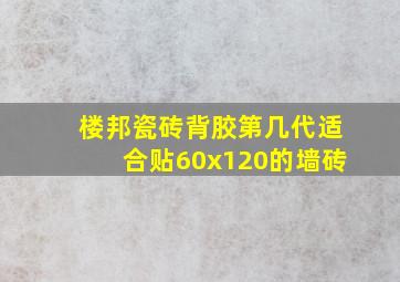 楼邦瓷砖背胶第几代适合贴60x120的墙砖