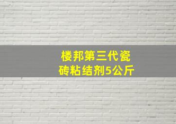 楼邦第三代瓷砖粘结剂5公斤