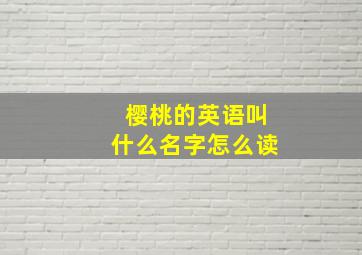 樱桃的英语叫什么名字怎么读