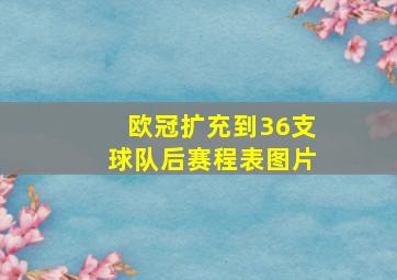 欧冠扩充到36支球队后赛程表图片