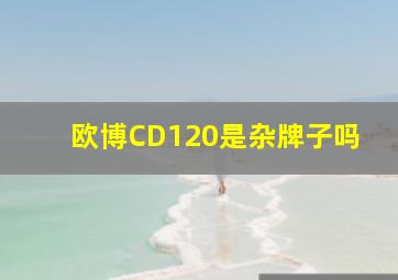 欧博CD120是杂牌子吗