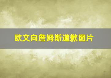 欧文向詹姆斯道歉图片