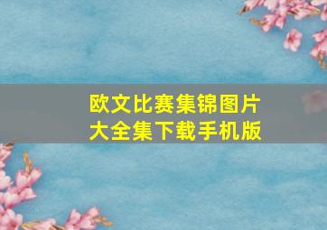 欧文比赛集锦图片大全集下载手机版