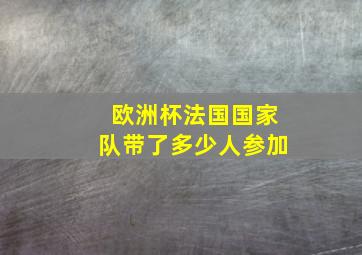 欧洲杯法国国家队带了多少人参加