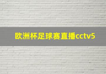 欧洲杯足球赛直播cctv5