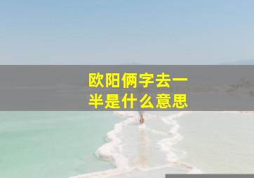 欧阳俩字去一半是什么意思