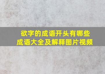 欲字的成语开头有哪些成语大全及解释图片视频