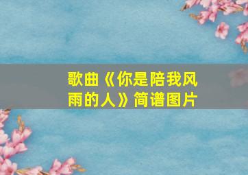 歌曲《你是陪我风雨的人》简谱图片