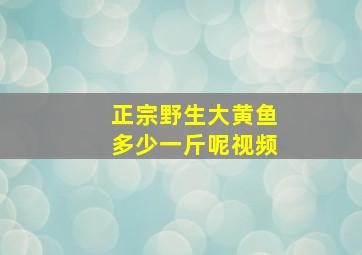 正宗野生大黄鱼多少一斤呢视频