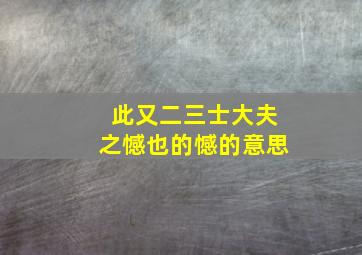 此又二三士大夫之憾也的憾的意思