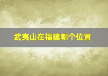 武夷山在福建哪个位置