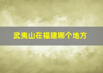 武夷山在福建哪个地方