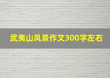 武夷山风景作文300字左右