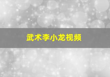 武术李小龙视频