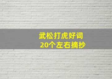 武松打虎好词20个左右摘抄