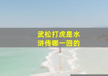 武松打虎是水浒传哪一回的