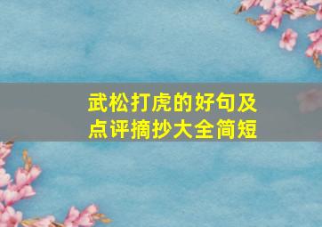 武松打虎的好句及点评摘抄大全简短