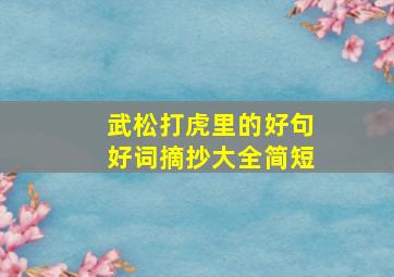 武松打虎里的好句好词摘抄大全简短