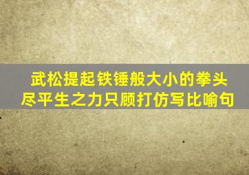 武松提起铁锤般大小的拳头尽平生之力只顾打仿写比喻句