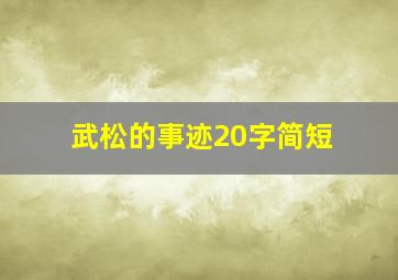 武松的事迹20字简短