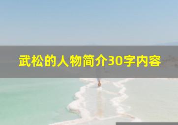 武松的人物简介30字内容